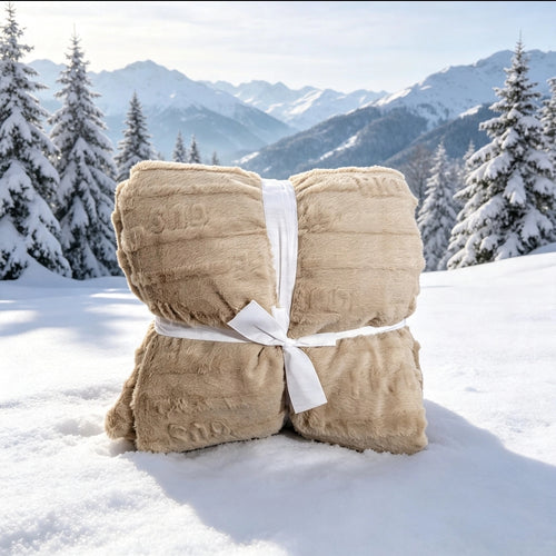 Couverture Sherpa Beige Taupe — 200 × 220 cm